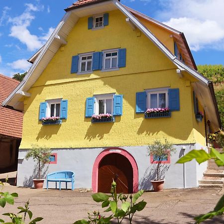 Winzerhof Maennle Apartment Oberkirch  Bagian luar foto