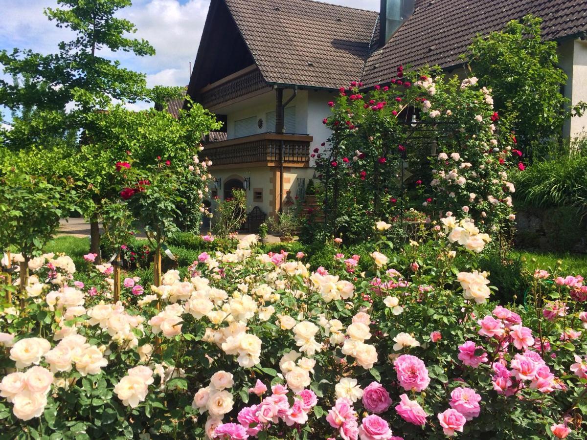 Winzerhof Maennle Apartment Oberkirch  Bagian luar foto