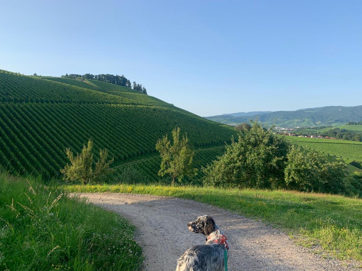 Winzerhof Maennle Apartment Oberkirch  Bagian luar foto