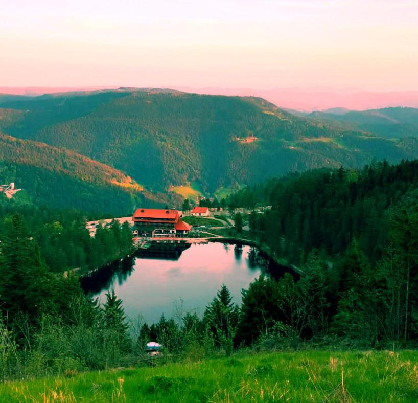 Winzerhof Maennle Apartment Oberkirch  Bagian luar foto