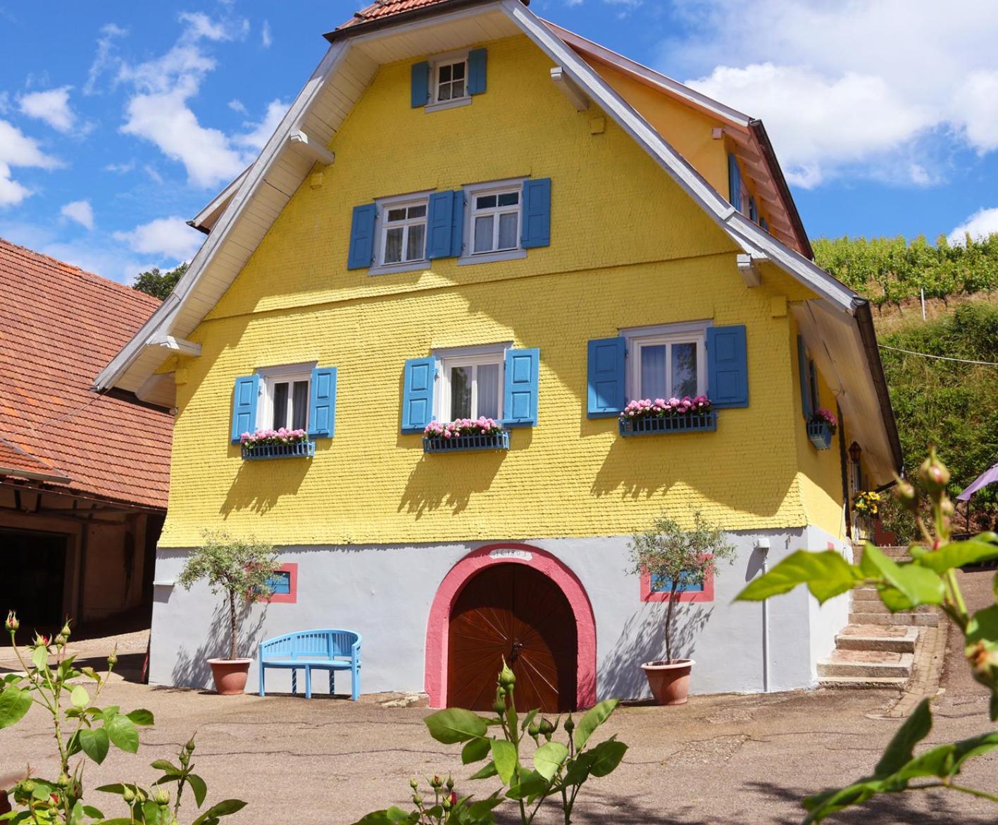 Winzerhof Maennle Apartment Oberkirch  Bagian luar foto